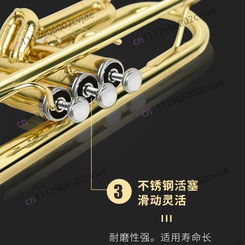 Suitable for Jinbao trumpet mu - Musical Instrument Drum recension och pris