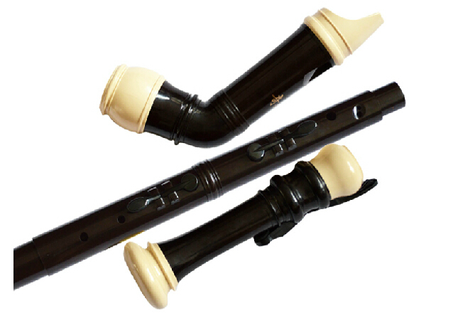 Professional 8 Holes Baroque B - Musical Instrument Recorder recension och pris