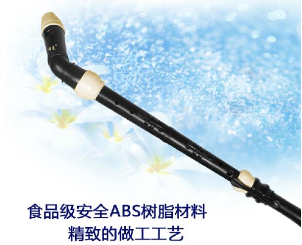 Professional 8 Holes Baroque B - Musical Instrument Recorder recension och pris