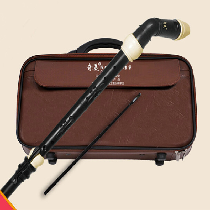 Professional 8 Holes Baroque B - Musical Instrument Recorder recension och pris